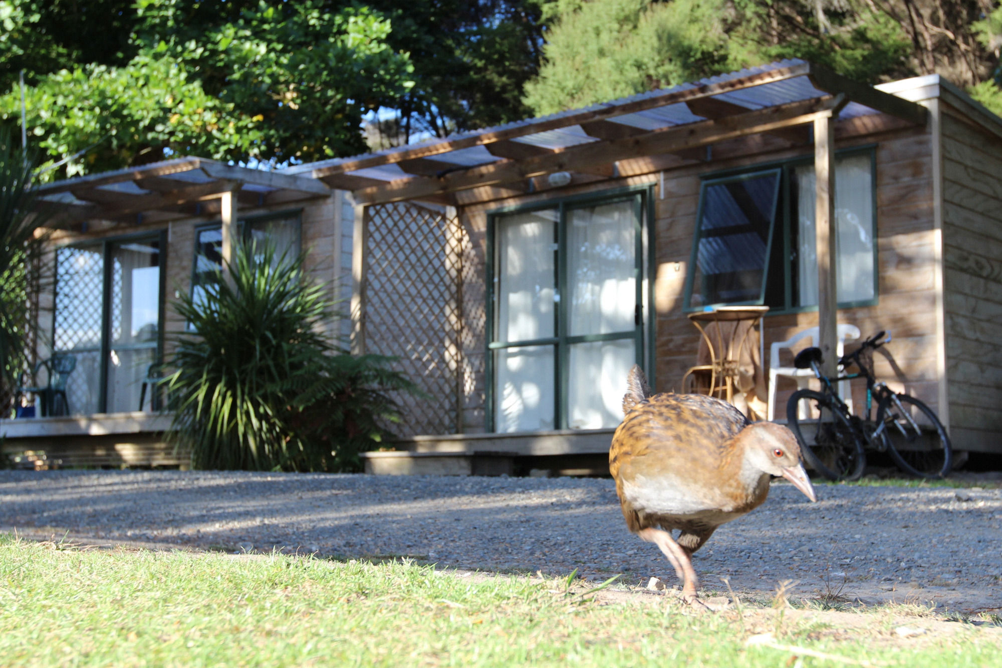 Russell-Orongo Bay Holiday Park Exterior foto